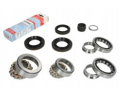 Repair kit for differential LUK 462014710