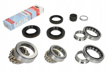Repair kit for differential LUK 462014710