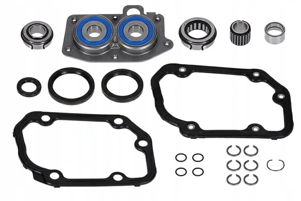 ZEST GEARBOX BEARINGS 462 0055 10 LUK AUDI