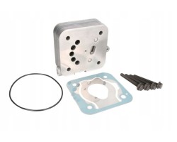The compressor cylinder head will say WABCO 4111540022