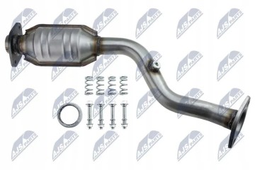 CATALYST CAT NS 002 NTY Part manufacturer NTY