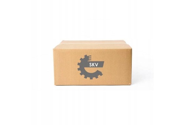 CATALYTIC CONVERTER WITH EXHAUST MANIFOLD 62SKV023