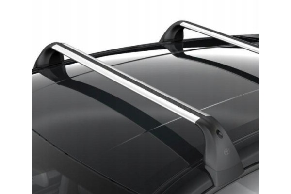 TOYOTA Corolla Roof rack railing beam original PW301 02001 OE Packaging status original