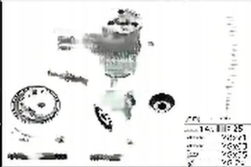 TIMING SET WATER PUMP 530 0699 30 INA SEAT Packaging status original