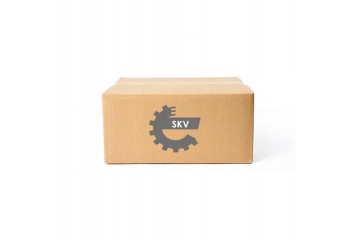 CATALYST SKV ESEN 62SKV012