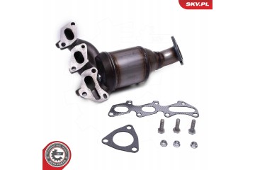 CATALYST SKV ESEN 62SKV012 Catalog number of the part 62SKV012