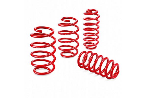 Suspension springs EIBACH Sportline E20 55 019 01 22 set FIAT MAZDA