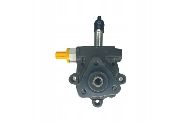 Bomba de dirección asistida WRC Original Parts 4900838