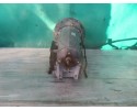 MERCEDES SPRINTER W907 22R 2 2 CDI GEARBOX AUTOMATIC A0002704652 Transmission type automatic