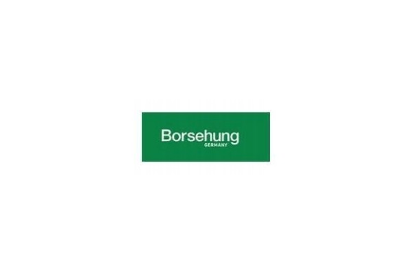 BORSEHUNG DRIVE SHAFT Car type passenger cars