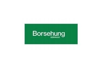 BORSEHUNG DRIVE SHAFT Car type passenger cars