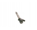 INJECTION NOZZLE 0 445 110 809 BOSCH Catalog number of the original CITROEN PEUGEOT 55491093 OPEL 55491093 VAUXHALL 55491093