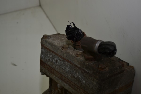 MERCEDES ACTROS MP4 COMPRESSOR COMPRESSOR LP490 Part manufacturer Mercedes Benz OE
