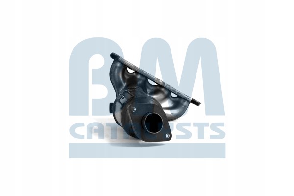 Catalyst BM CATALYSTS BM91677H Product weight 3 47 kg