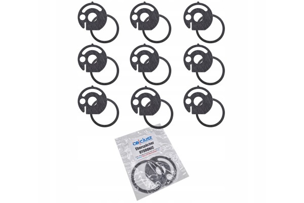 Eberspaecher HYDRONIC D5WS D5WZ D3WZ SEALS 25 SETS