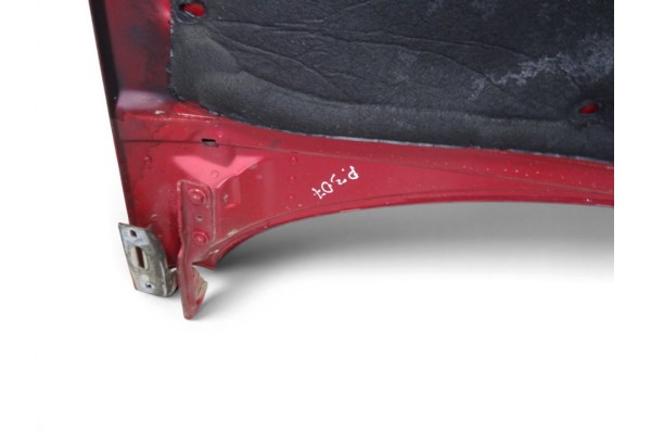 CAPO PEUGEOT 307 BERLINA (S2)