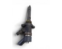 0445110188 INYECTOR FORD FOCUS C-MAX (CAP)(2003)