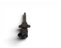 0445110188 INYECTOR FORD FOCUS C-MAX (CAP)(2003)