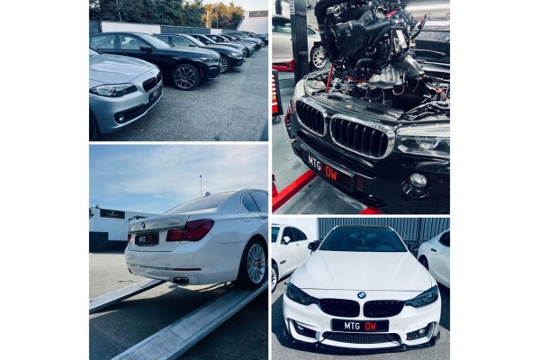 ENGINE BMW N57D30B 306KM NITRIDED SHAFT GUARANTEE MTG OW Version European