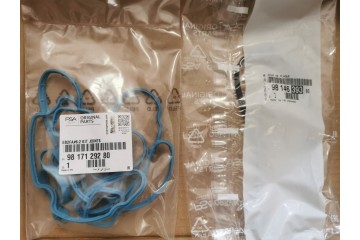 TIMING BELT KIT 1654515680 OE CITROEN Version European