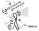 EXHAUST CAMSHAFT CITROEN PEUGEOT 2 0 9804424280 NEW ORIGINAL Quality of parts according to GVO O original with manufacturer s lo