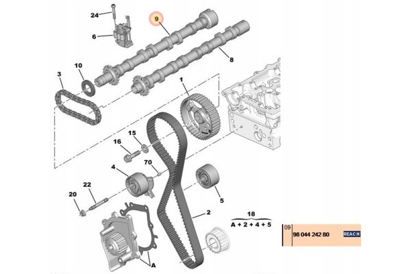 EXHAUST CAMSHAFT CITROEN PEUGEOT 2 0 9804424280 NEW ORIGINAL Quality of parts according to GVO O original with manufacturer s lo