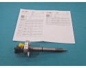 NEW TESTED INJECTOR RENAULT MASTER II 0445110284 2 5 DCI