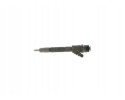 INJECTOR WITH SEALANT 0 445 110 265 BOSCH Packaging status original