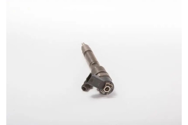 INJECTOR WITH SEALANT 0 445 110 265 BOSCH Catalog number of the original NISSAN 16600 00Q0D OPEL 93189952 RENAULT 77 01 477 325 