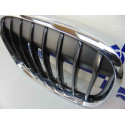 7383364 REJILLA DELANTERA BMW SERIE X1 (F48)
