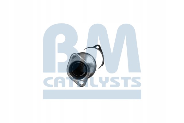 Catalyst BM CATALYSTS BM91011H Product weight 2 5 kg
