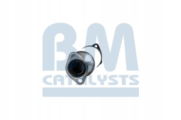 Catalyst BM CATALYSTS BM91011H Product weight 2 5 kg