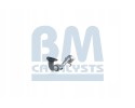 Catalyst BM CATALYSTS BM91589H Product weight 5 kg