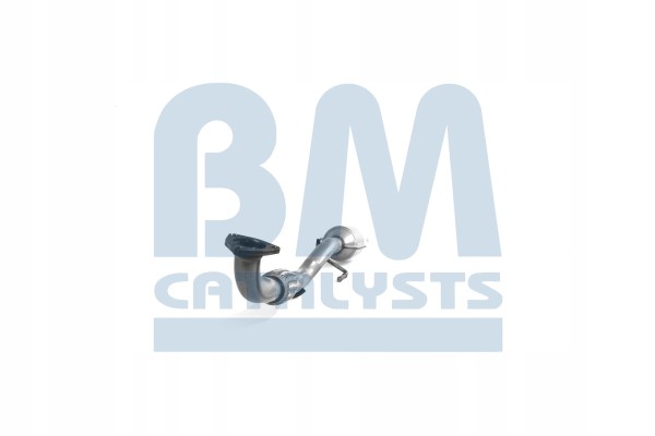 Catalyst BM CATALYSTS BM91589H Product weight 5 kg