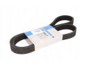Multi wedge strap THERMO KING 781624
