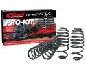 Lowering springs EIBACH E20 15 021 06 22