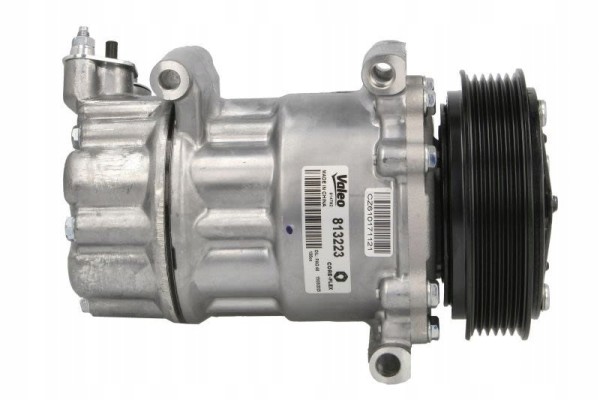 VALEO 813223 air conditioning compressor Car type cargo vans passenger cars