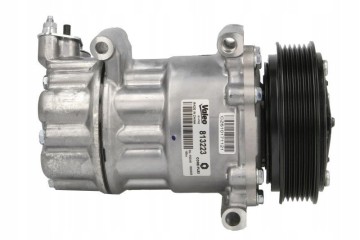 VALEO 813223 air conditioning compressor Car type cargo vans passenger cars