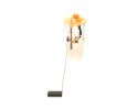 PUMP PAL MODULE RENAULT MASTER 2 3DCI 1 0580203314 BOSCH