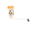 PUMP PAL MODULE RENAULT MASTER 2 3DCI 1 0580203314 BOSCH Catalog number of the part 0 580 203 314