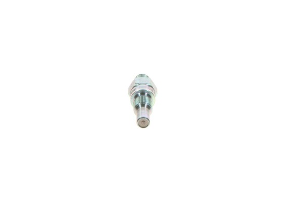 BOSCH 0437004002 PETROL INJECTOR Car type passenger cars