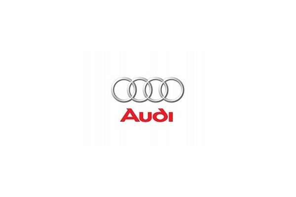 AUDI Q3 II 83A F3 2018 2024 MUDGUARD LEFT FRONT NEW 83A821021A Catalog number of the part AUDI Q3 II 83A F3 2018 2024 BOTNIK LEW