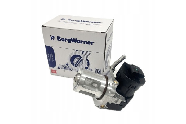 Wahler 710095D 1 AGR valve