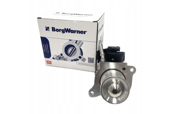Wahler 710095D 1 AGR valve Catalog number of the part 710095D 1