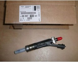 Peugeot 208 2008 3008 508 5008 1 2 THP Injector