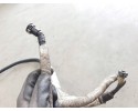 TUBE HOSE FORD F MAX 500 Quality of parts according to GVO O original with manufacturer s logo OE