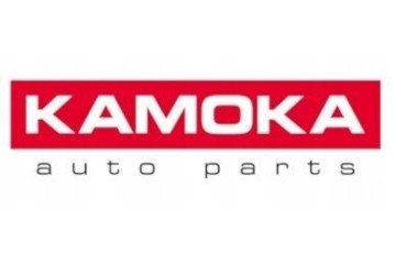 Kamoka 8015171 Catalyst Quality of parts according to GVO P replacement with original quality