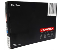 Particulate filter DPF KAMOKA 8010014