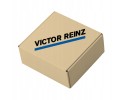 Complete set of engine seals all REINZ 01 36415 02