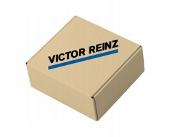 Complete set of engine seals all REINZ 01 36415 02